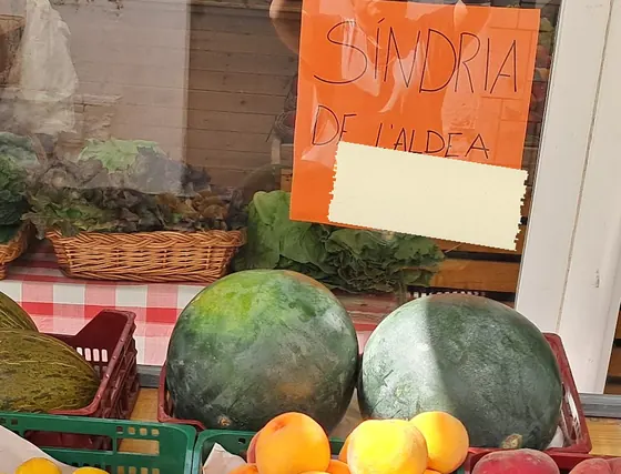 Síndries a l’aparador amb el cartell «Síndria de l’Aldea»