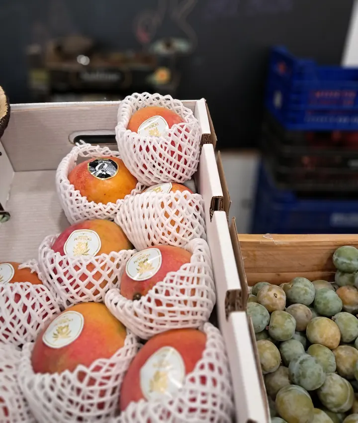 Mangos embolicats amb malla protectora