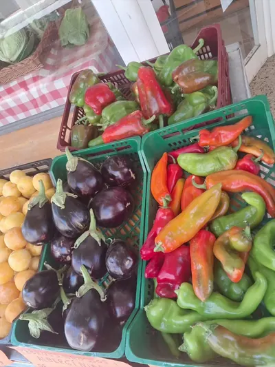 Pebrots i albergínies acabats de collir, en caixes
